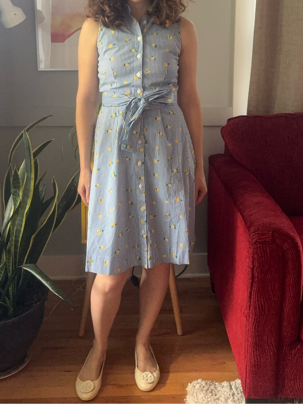 J. Crew Sleeveless Light Blue Daisy Print Tie-Waist Dress - NWT
